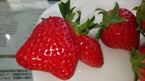 中古車販売 中古車買取 アップル