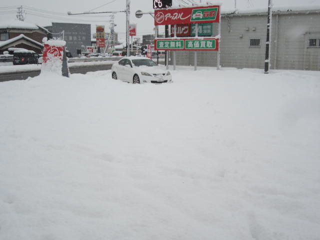 中古車販売 中古車買取 アップル