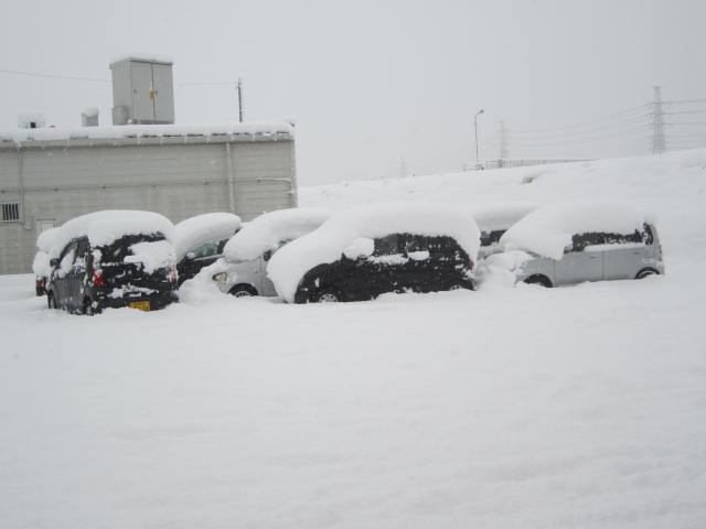 中古車販売 中古車買取 アップル