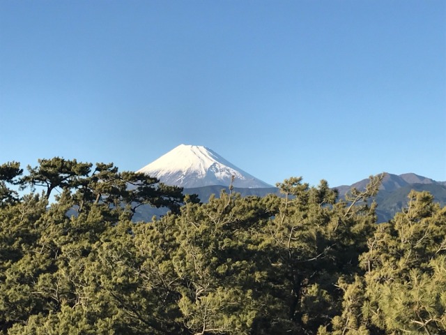 中古車販売 中古車買取 アップル