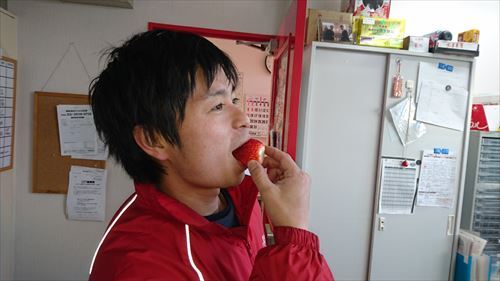 中古車販売 中古車買取 アップル