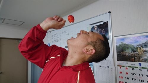 中古車販売 中古車買取 アップル