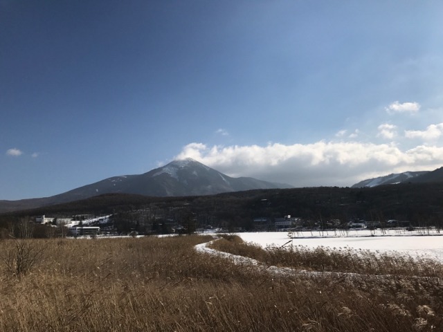 中古車販売 中古車買取 アップル