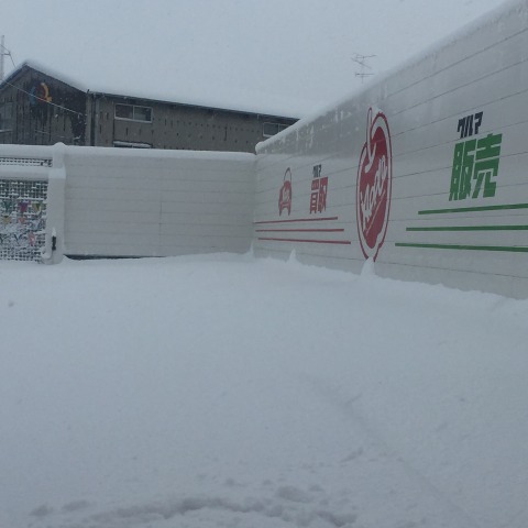 中古車販売 中古車買取 アップル