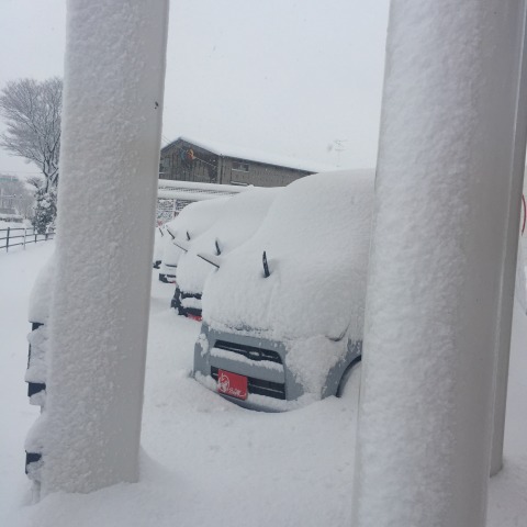 中古車販売 中古車買取 アップル