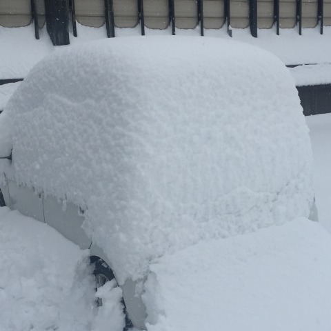 中古車販売 中古車買取 アップル