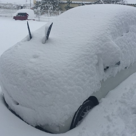 中古車販売 中古車買取 アップル