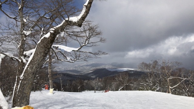 中古車販売 中古車買取 アップル