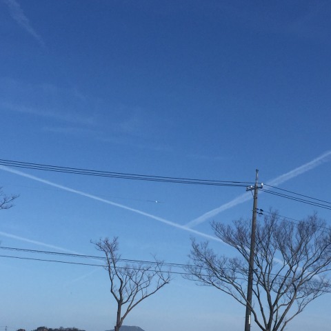 中古車販売 中古車買取 アップル