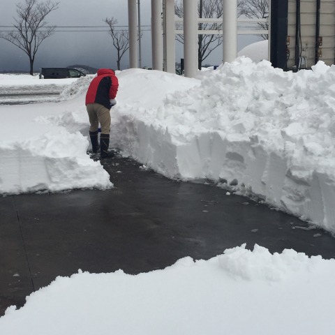 中古車販売 中古車買取 アップル