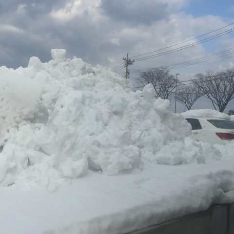 中古車販売 中古車買取 アップル