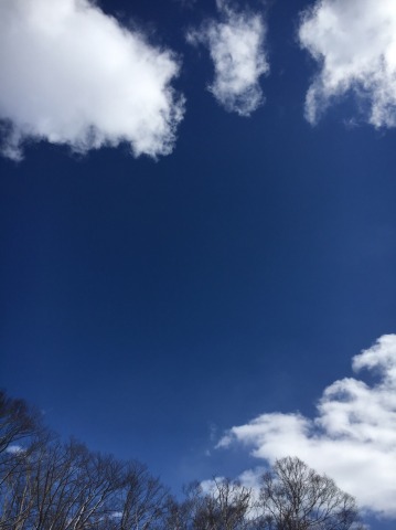 中古車販売 中古車買取 アップル