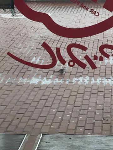 中古車販売 中古車買取 アップル