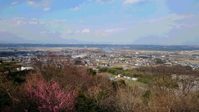 中古車販売 中古車買取 アップル