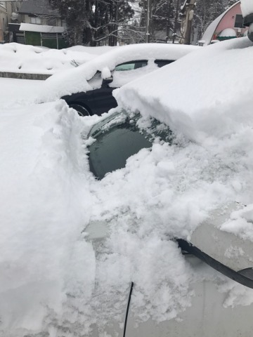 中古車販売 中古車買取 アップル