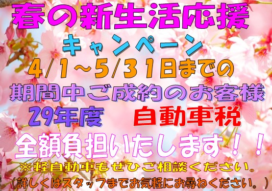中古車販売 中古車買取 アップル