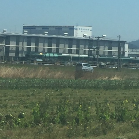 中古車販売 中古車買取 アップル