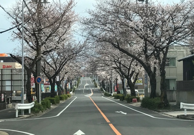 中古車販売 中古車買取 アップル