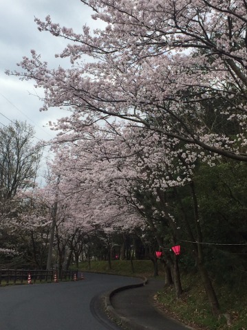 中古車販売 中古車買取 アップル