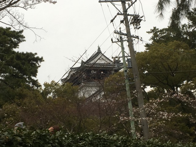 中古車販売 中古車買取 アップル