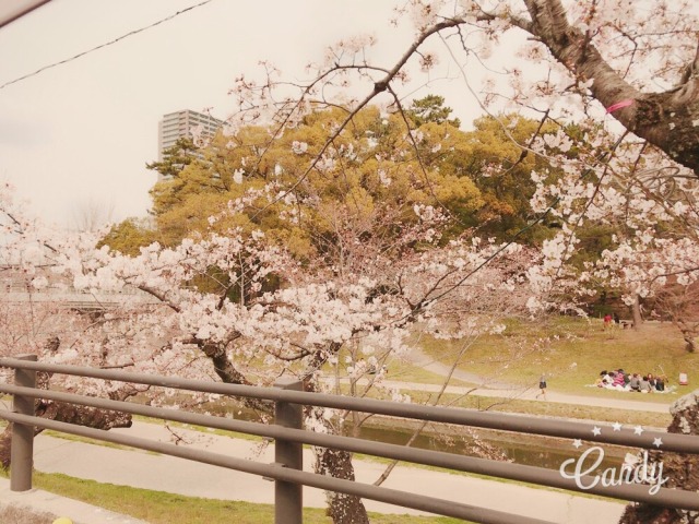 中古車販売 中古車買取 アップル