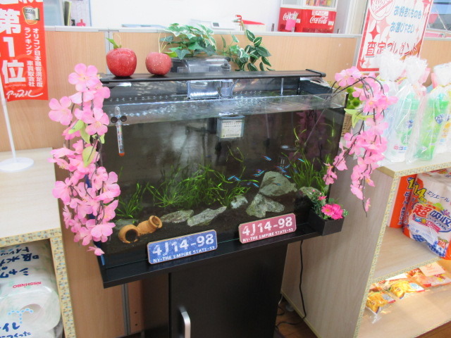 中古車販売 中古車買取 アップル