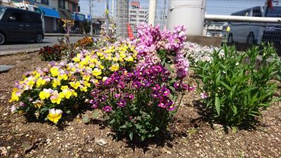 中古車販売 中古車買取 アップル