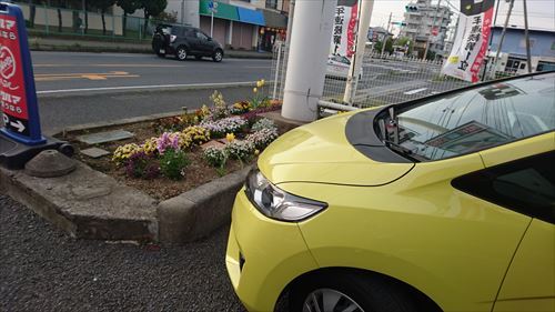 中古車販売 中古車買取 アップル