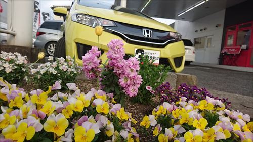 中古車販売 中古車買取 アップル