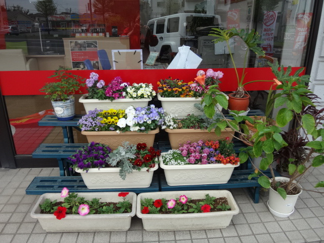 中古車販売 中古車買取 アップル