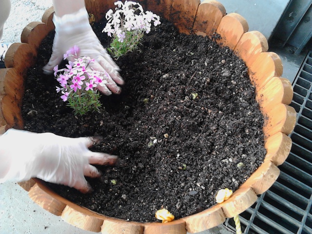 中古車販売 中古車買取 アップル