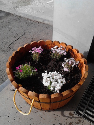 中古車販売 中古車買取 アップル