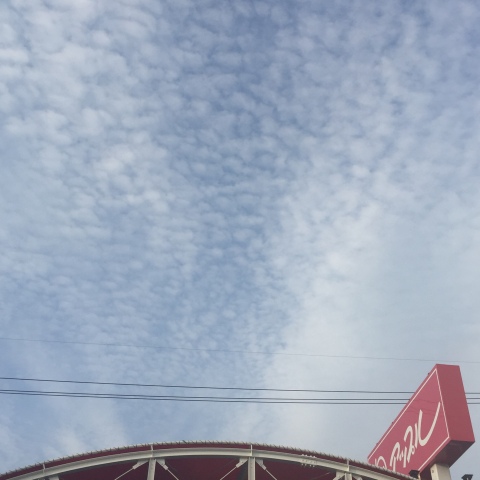 中古車販売 中古車買取 アップル