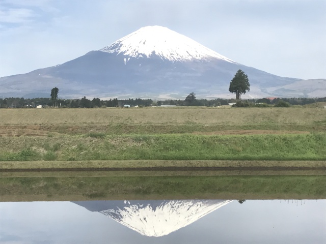 中古車販売 中古車買取 アップル