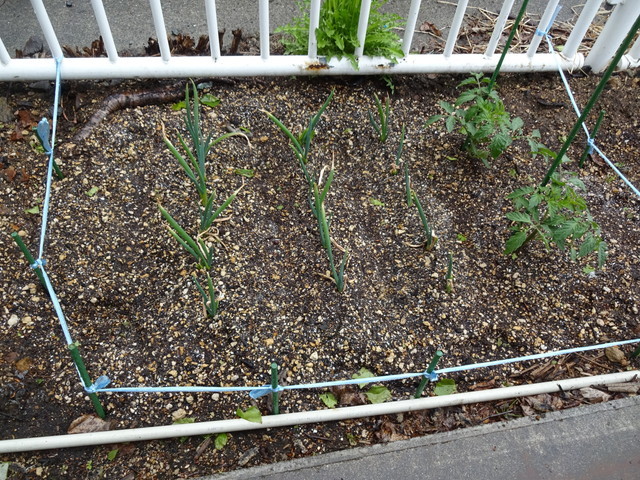 中古車販売 中古車買取 アップル