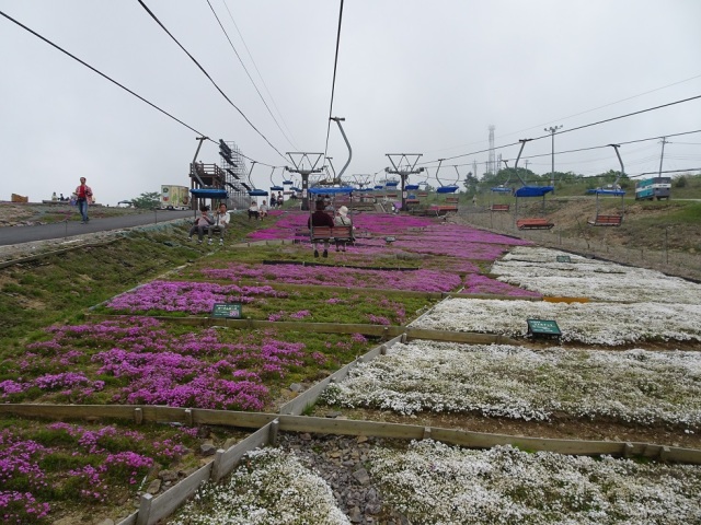 中古車販売 中古車買取 アップル