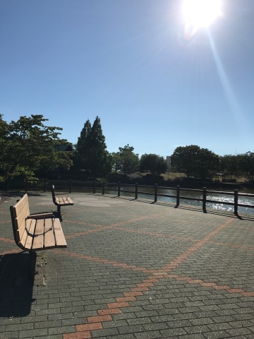 中古車販売 中古車買取 アップル