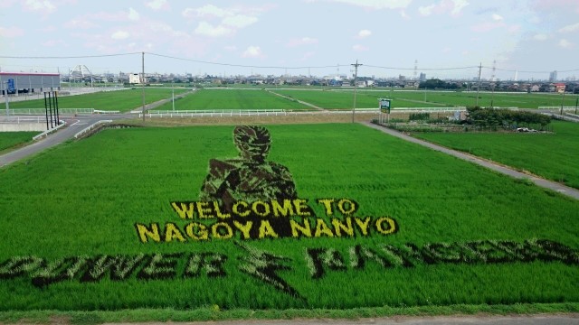 中古車販売 中古車買取 アップル