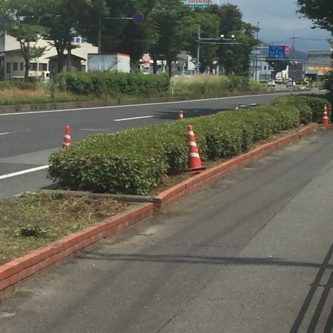 中古車販売 中古車買取 アップル