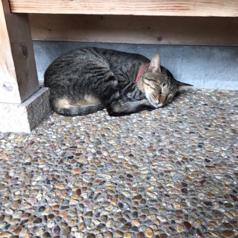 中古車販売 中古車買取 アップル