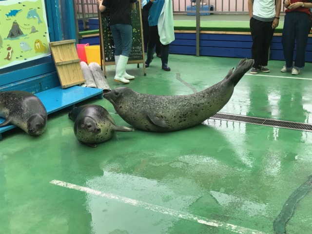 中古車販売 中古車買取 アップル