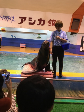 中古車販売 中古車買取 アップル