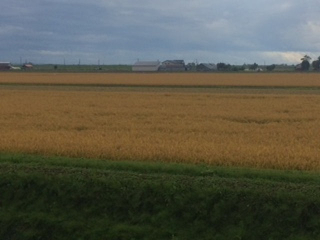 中古車販売 中古車買取 アップル