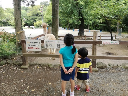 中古車販売 中古車買取 アップル