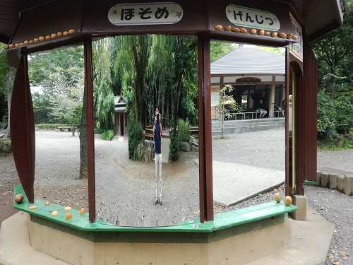 中古車販売 中古車買取 アップル