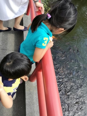 中古車販売 中古車買取 アップル