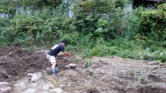 中古車販売 中古車買取 アップル