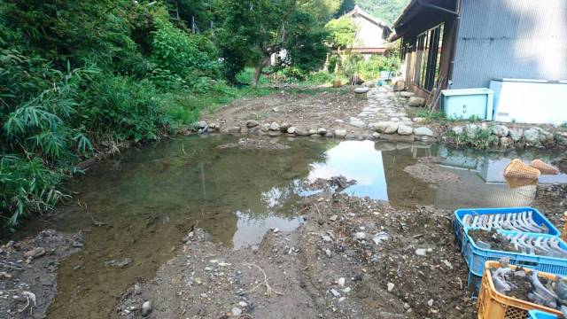 中古車販売 中古車買取 アップル