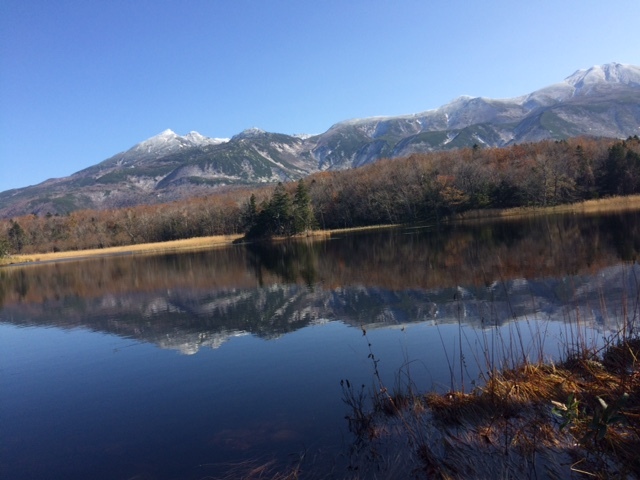 中古車販売 中古車買取 アップル