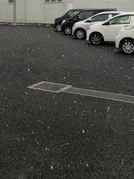 中古車販売 中古車買取 アップル